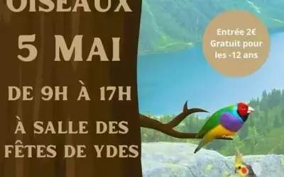 Bourse aux Oiseaux Dimanche 05 Mai 2024 au Centre Socio-Culturel d'YDES