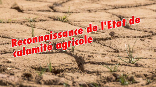 Arrêté Ministériel de reconnaissance de calamité agricole du Cantal