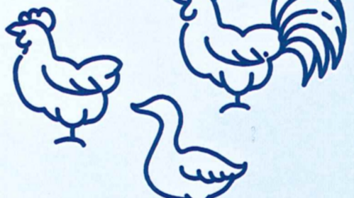 Grippe Aviaire : renforcement des mesures de biosécurité