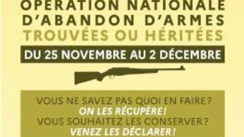 Opération d'abandon d'armes à l'Etat