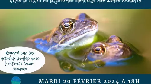  Intervention du CPIE de Haute Auvergne découverte des amphibiens Médiathèque de Mauriac le 20 février 2024