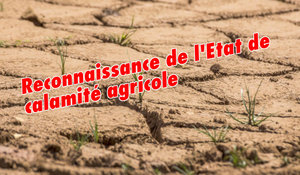 Arrêté Ministériel de reconnaissance de calamité agricole du Cantal