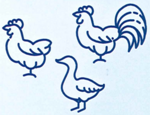 Grippe Aviaire : renforcement des mesures de biosécurité