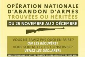 Opération d'abandon d'armes à l'Etat