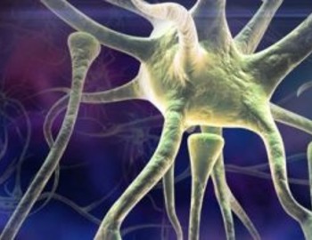 La maladie de Parkinson expliquée par des spécialistes 